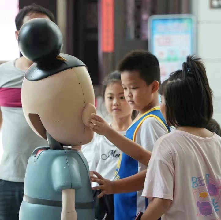 Индивидуальный дизайн внешнего вида робота, корпоративного имиджа, бренда, коммерческого приветствия и приема, экскурсий и услуг по разъяснению.