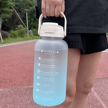 新款高颜值大容量吸管杯子ins女男学生塑料水杯茶壶小众户外水瓶