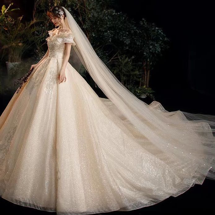 Starry Sky Pregnant Women Light Main Wedding Dress 2025 New Temperament Bride French Runaway Princess Casual and Atmospheric Trailing Super Fairy