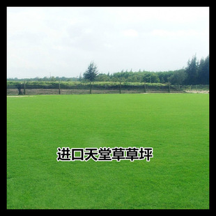 ��ƺ�N�����ò�ƺ����ͥԺ�e���G���ݷN�Ͱ����`̤���ͺ��ļ����N