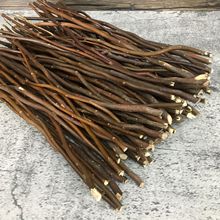 现货批发|棕色香薰藤条柳枝 天然藤树龙柳枝 家居软装装饰藤枝