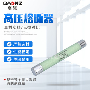 Xrnp-12Kv/0.5A High Voltage Fuse Transformer Protection Fuse High Voltage Current Limiting Fuse