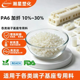 PA6;PA66;PPA