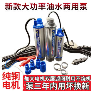 Mini Small Oil Pump Large Flow Portable High Pressure Oil Pump 220 Volt Dc Small Mini