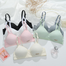 ���������Ů������ܽ�d�d�����LС������Ů�W���o�Ȧ�۔n������