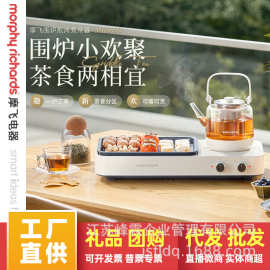 摩飞养生壶围炉煮茶器多功能家用室内外煮茶煎烤一体泡茶机MR6093