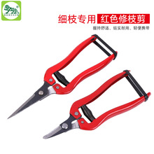 稀果剪摘果采摘剪 修枝稀枝 葡萄剪 荔枝果蔬剪 园林园艺工具剪刀