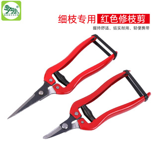 ϡ����ժ����ժ�� ��֦ϡ֦ ���Ѽ� ��֦���߼� �@�ֈ@ˇ���߼���