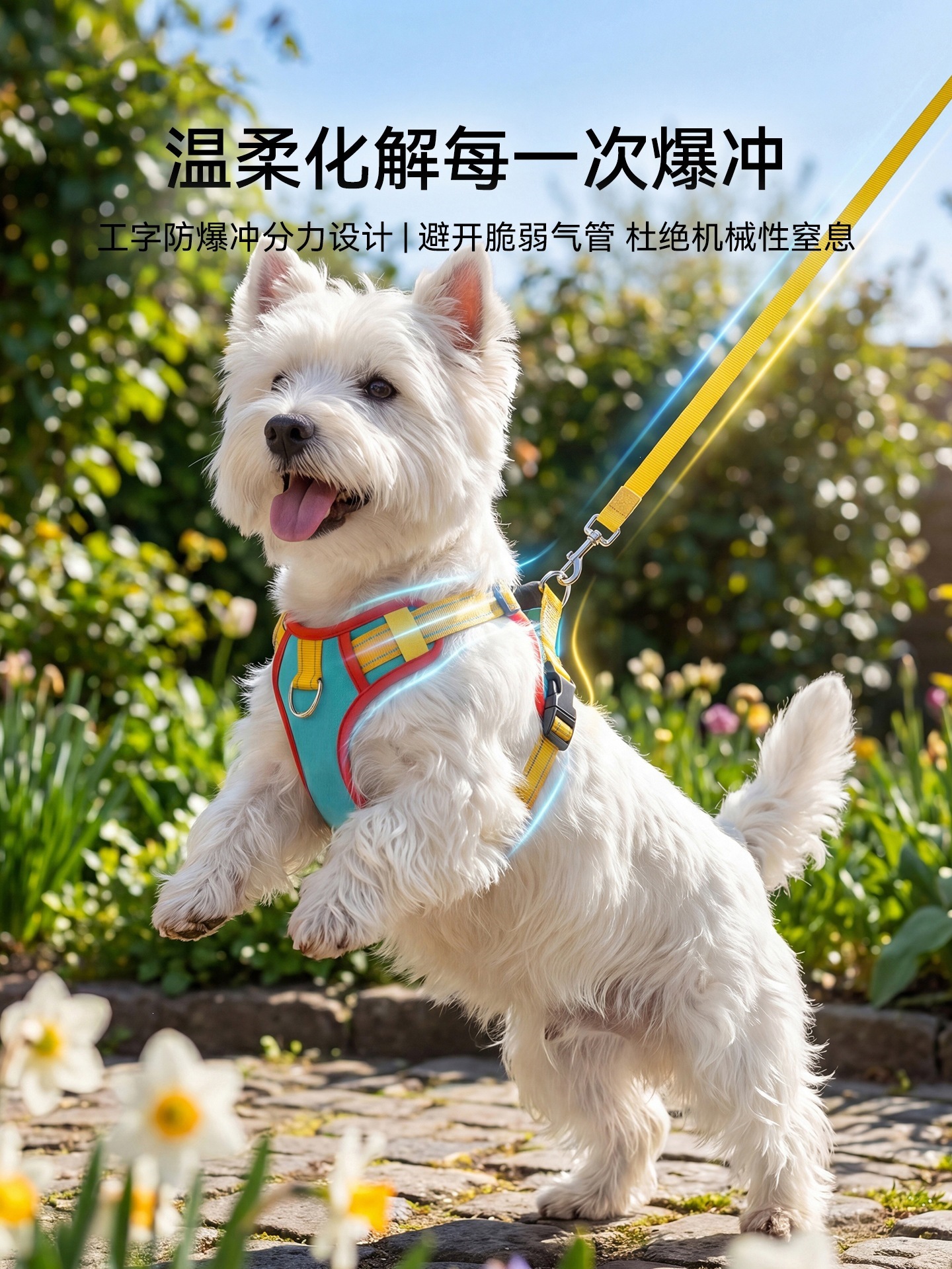 O1CN01hGijAE1QS8z46vXAO_!!2206811161974-0-cib.jpg