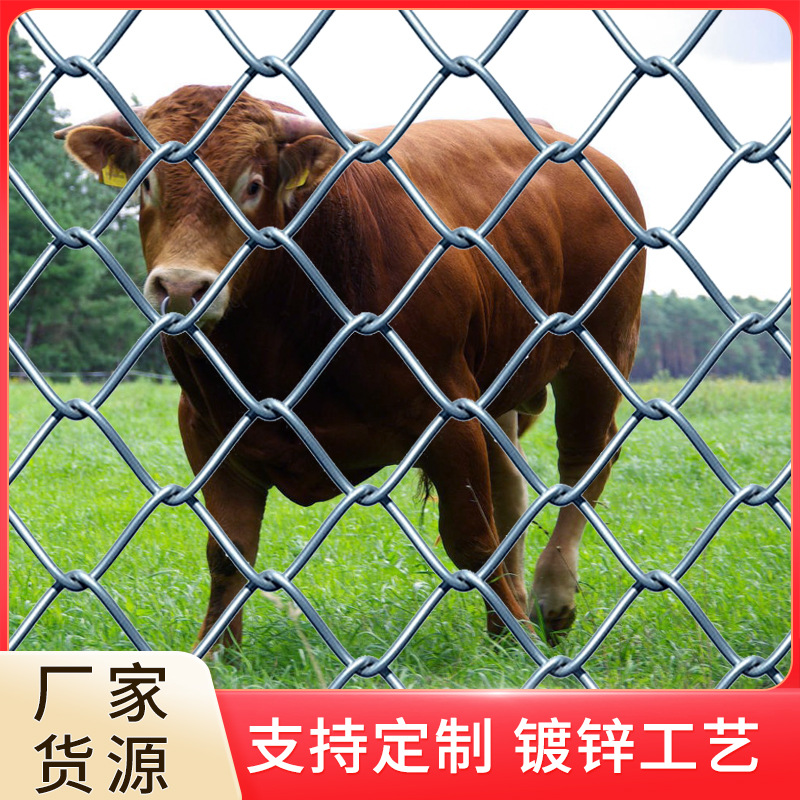 勾花网护栏养殖隔离钢丝网围栏户外养殖牛羊钢丝网果园镀锌铁丝网