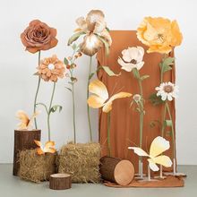 ��ɫ���ͷ��漈ˇ�������˺����b�õ�����w���W�쾰�������ղ���