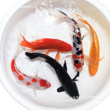 �\���~���~��ˮ��ˮ�^�p�~���~�Lˮ�~��С���~�����l�ͻ��~�S