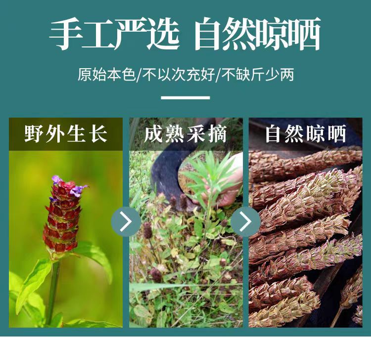 Xia Ku Cao (Prunella vulgaris) — Dried Prunella Spike, 500g Henan White-Hair Variety key features
