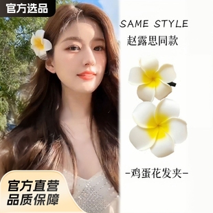 Hairgrip, hair accessory for photo sessions, small hairpins, dress up, flowered