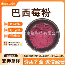 巴西莓果粉 阿萨伊果粉 99% 巴西莓冻干粉水溶性冻干巴西莓粉现货