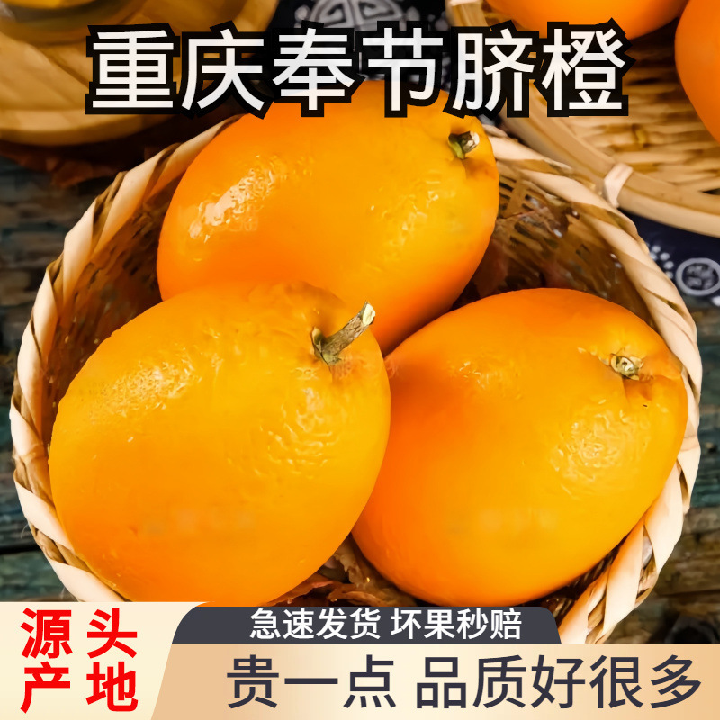 Authentic Chongqing Fengjie Navel Oranges, Fresh Large Newhall Oranges, Oval-Shaped, Direct Delivery from the Place of Origin, Selected Fruits for Resale Authentic Chongqing Fengjie Navel Oranges, Fresh Large Newhall Oranges, Oval-Shaped, Direct Delivery from the Place of Origin, Selected Fruits for Resale