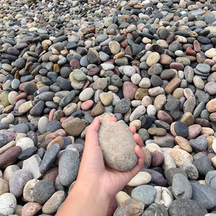 ����ͥԺ�Z��ʯ䁵����lԭʯ��Ȼʯ�^���ʯ�@���~���쾰����E18