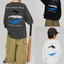 2026�����¿ͯ����L�~ӡ���L���������д�ͯ���ɈA�I��T��