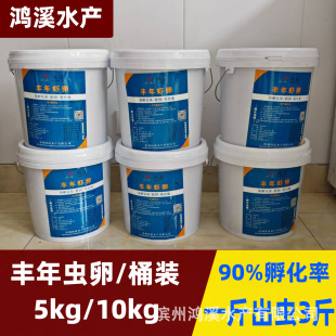Hongxi Fengnian Shrimp Eggs Can Hatch Fengnian Shrimp Eggs Big Red Eggs Open Feed for Shrimp Seedling Perch Seedling Grouper Seedling