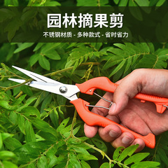 Factory supplies garden telescopic pruning scissors, grafting flower scissors, stainless steel fruit picking scissors, gardening potting scissors
