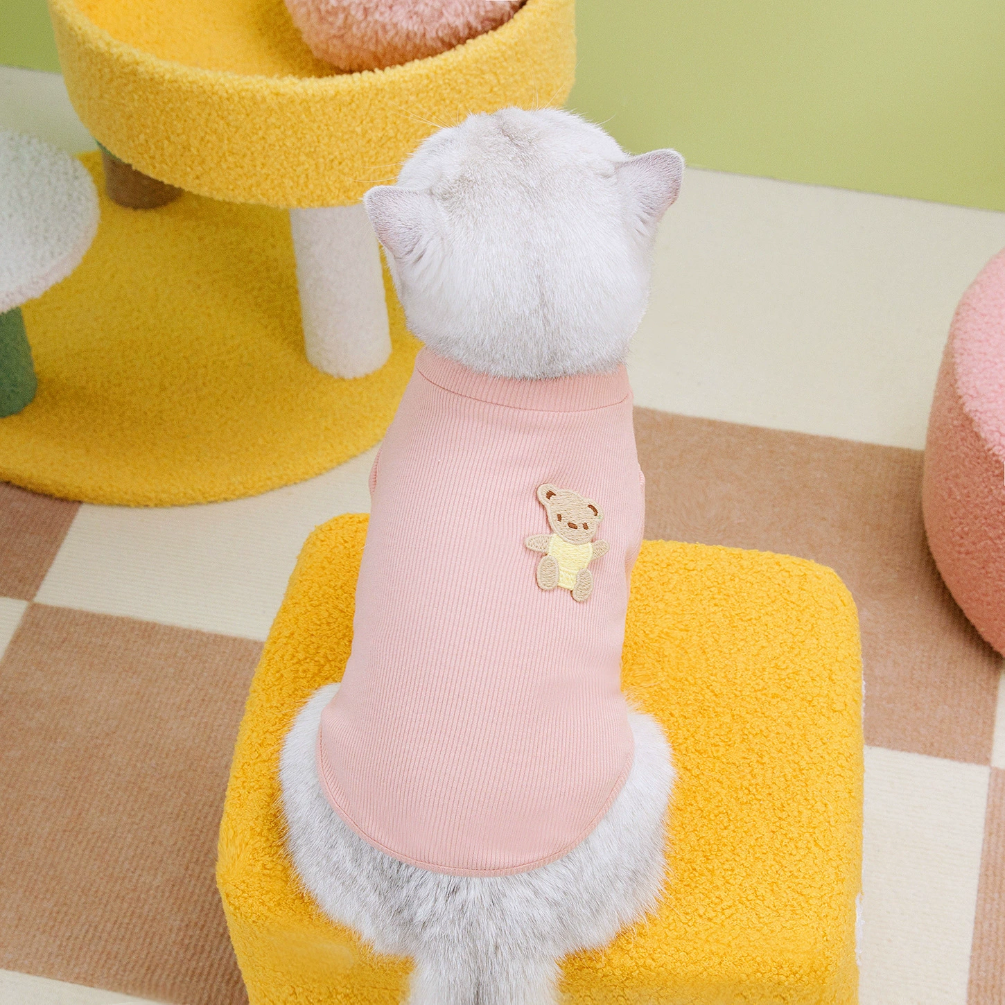 24 весенние и летние модели Yangyang Bear футболки для домашних животных одежда Jinjila Cat может повесить буксирный поводок