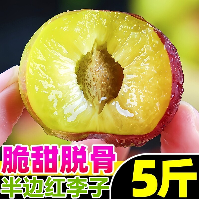 Sichuan Boneless Plums Fresh Fruit Green and Red Crispy Plums Half Red Small Crispy Red Plums Seasonal Whole Box Free Shipping Honey Plums Sichuan Boneless Plums Fresh Fruit Green and Red Crispy Plums Half Red Small Crispy Red Plums Seasonal Whole Box Free Shipping Honey Plums