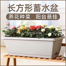 ���l�̨�N�����̨�߲˷N���L�������ϻ����L�l�軨�۷Nֲ��