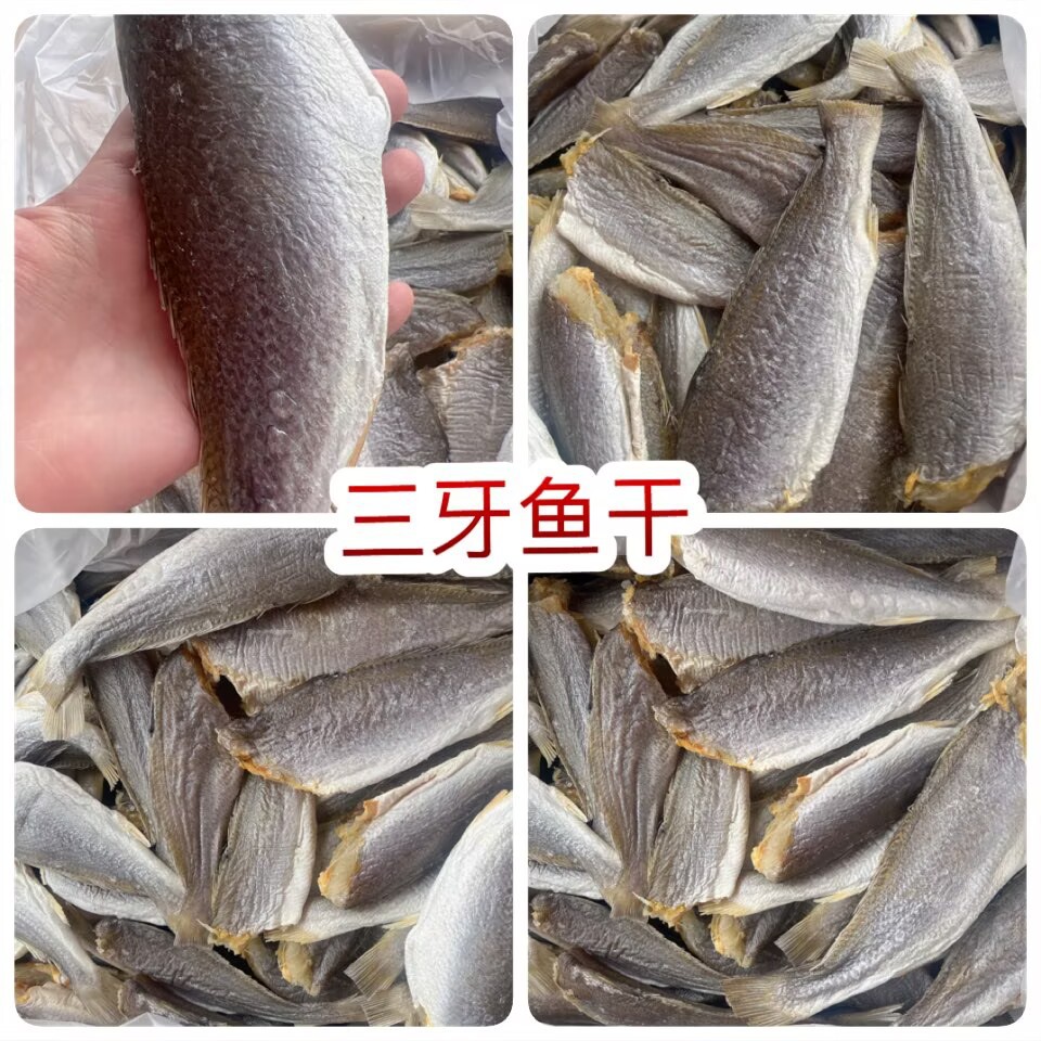 三牙鱼干 地摊电商批发三牙鱼干三齿鱼干干鱼