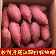 �������r�������ļt��-�﷬���r��ɳ�ؿ��ع�ɽ�������S��ܛŴ