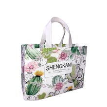 VݹSNCĤD串Ĥ  obĤ 