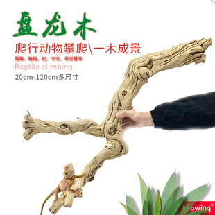 Overlord Rattan Wood One Wood Scenery Crawler Climbing Bracket Natural Rattan Wood Landscape Master Shougong Snake Decoration Panlong Wood
