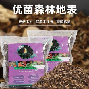 ����ɭ�ֵر������|���،m�����߽�������|�ĳ������������쾰