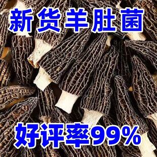 �^���؛��Ǿ����������r��؛�������o���Ҝ�ʳ�����a���]