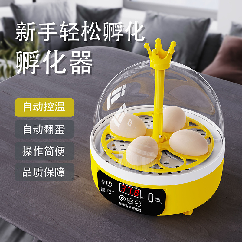 Incubadora experimental incubadora de pollo pequeño hogar automático huevo incubadora niños incubadora inteligente