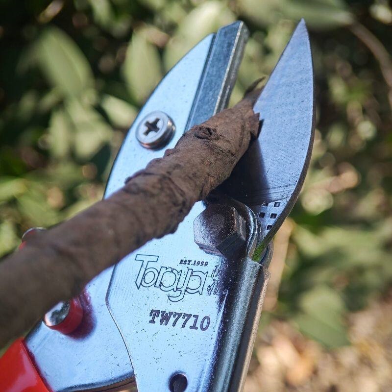 Tijeras de Poda Tipo Yunque para Jardín Diseño Ergonómico para Viñedos image 5