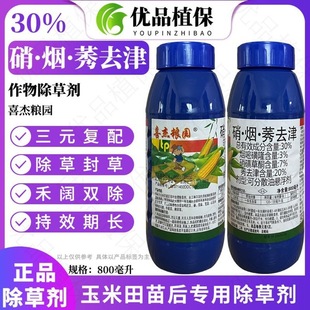 ϲ�ܼZ�@30%����ݬȥ�����ǲ�ͪ������������ó��݄�800����