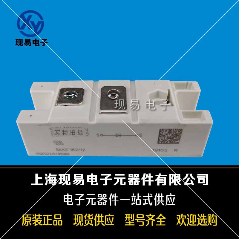 SKKE81/08 SKKE81/12全新原装二极管现货