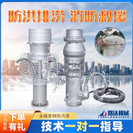 永磁潜水泵应急救援防汛排水排涝变频防洪泵不锈钢高扬程轴流水泵