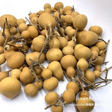 �~�w���J���С�~�ں��J�w�~������肿ڱǟ���ľ�|��С̖�~���~��