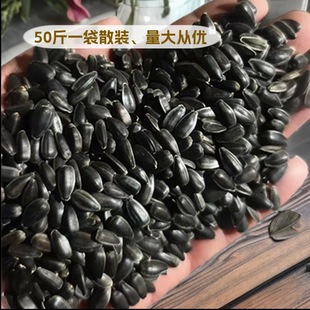 ������С����/������/�Ϳ��� �Bʳ �}����ʳ�B�Z ���Z50���b