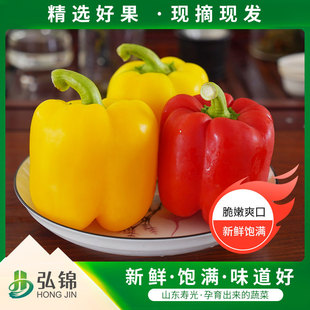 ɽ�|�۹�ˮ���ʽ����������r�A���t���S���߲���ʽ� �t�S��