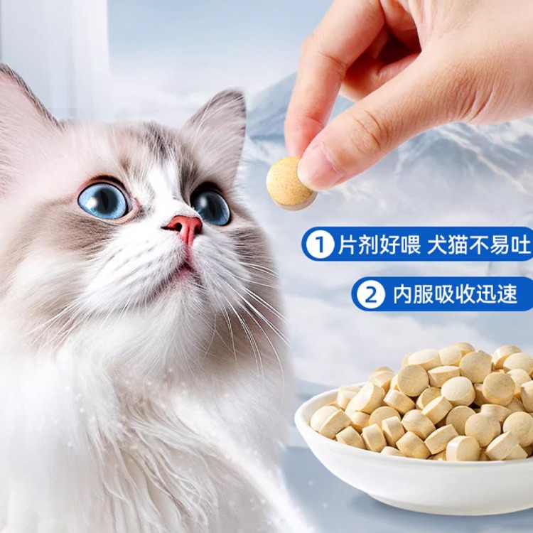 Aceite de pescado de aguas profundas, gatos y perros, mascotas especiales para prevenir la caída de pelo, qué comer, rodajas de aceite de pescado, aceite de hígado de bacalao para gatos