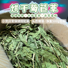 新草2023年烘干菊苣草零食保健草兔子龙猫豚鼠功能性营养干草包邮