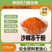沙棘冻干粉99%沙棘全果粉沙棘冷冻干燥打粉沙棘粉丹乃斯现货