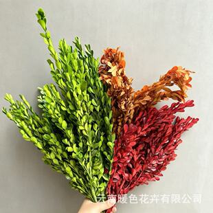 ����С�~�S��ɻ��S�����l�S���~�����羳�F؛���������վGֲ�b�