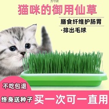 猫种植套装猫种子猫零食化毛膏猫食品猫薄荷盆栽猫咪用品一件批发