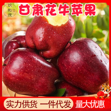 正宗天水花牛苹果9斤整箱陕西当季新鲜水果10批发包邮5斤粉面蛇果