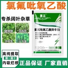 氯氟吡氧乙酸异辛酯 水花生除草剂 小麦田除草剂 氯氟吡氧乙酸