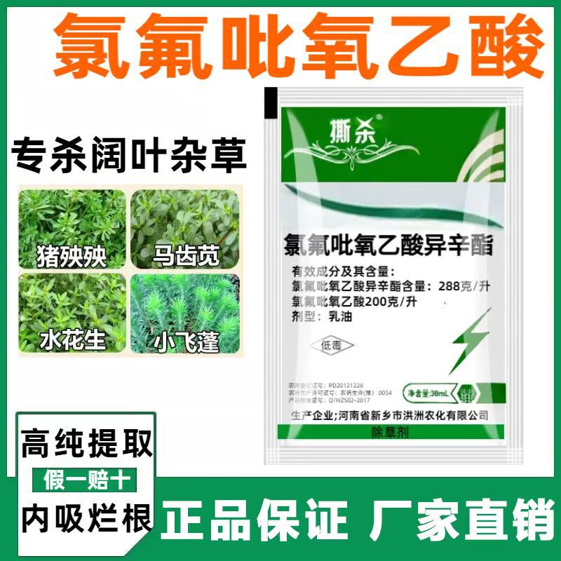 Halonpyrrolone Isooctyl Water Peanut Herbicide Wheat Field Herbicide Halonpyrrolone Halonpyrrolone Isooctyl Water Peanut Herbicide Wheat Field Herbicide Halonpyrrolone