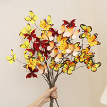 �����֦����Ī�λ��@�������������Ù����廨�b���ꐻ�c�ٻ�